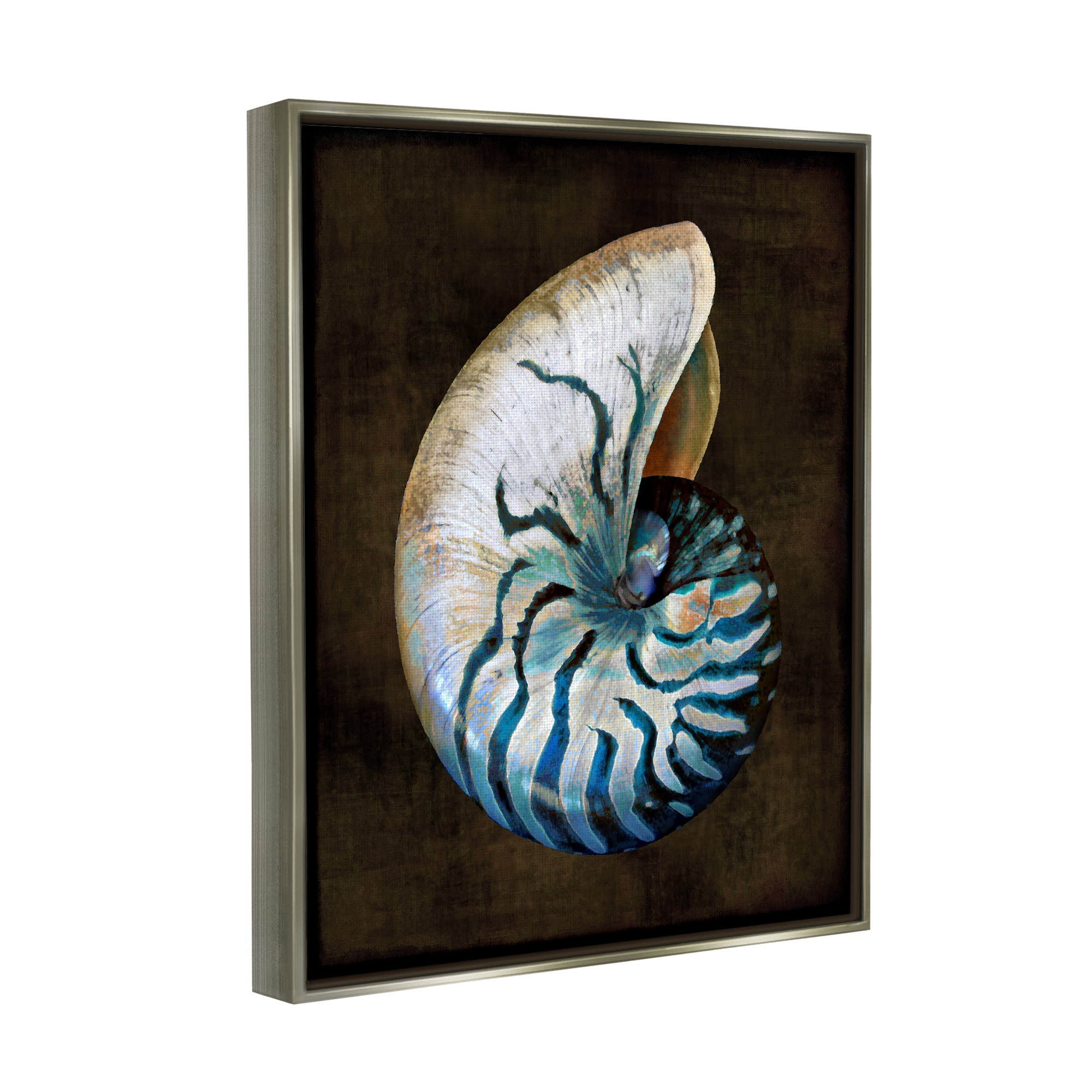 Stupell Industries Dark Nautilus Shell Nature Painting Gray Floater Framed Canvas Art Print Wall Art, 25 x 31