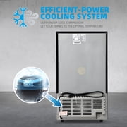 TACOOL 125Cans Mini Beverage Refrigerator Cooler, Mini Fridge with Glass Door 7 Temperature Setting for Home/Bar/Office