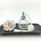 thumbnail image 4 of Jumpingount Botella vacía con bolsa de aire, decoración artística, botellas de Perfume, juego de difusor transparente, fragancia de inodoro para Protección de la piel, 4 of 6