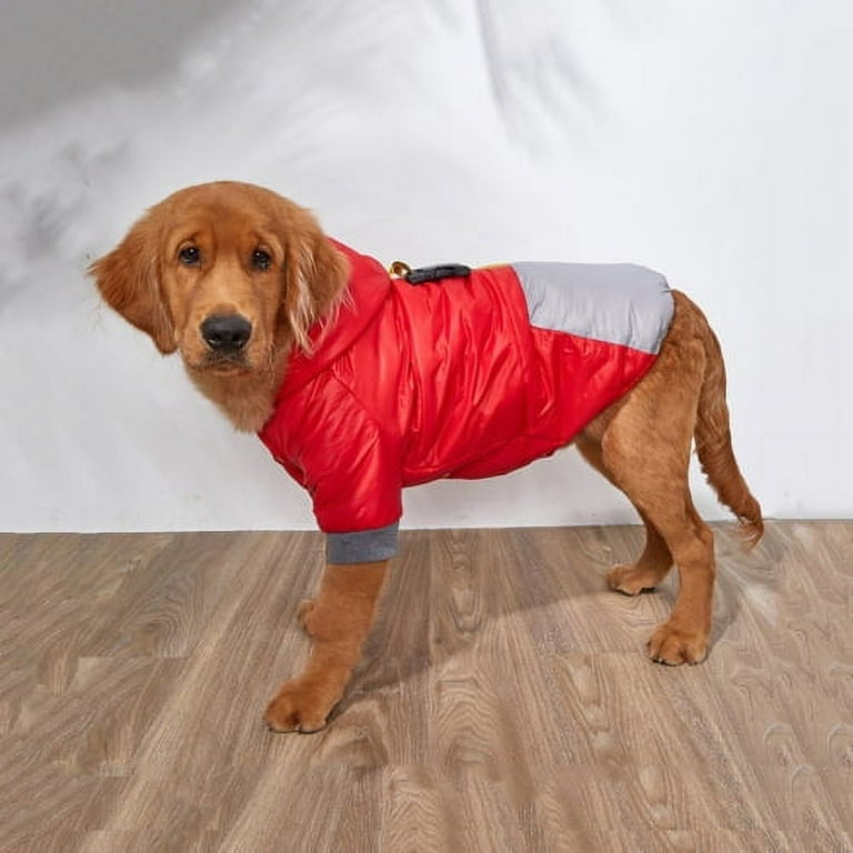 Hiking vest top for dogs