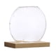 thumbnail image 5 of Bonitas plantas hidropónicas en un jarrón de cristal transparente, macetero decorativo de escritorio con base de madera., 5 of 9