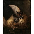 thumbnail image 3 of Hans Georg Müller 12x14 Black Modern Framed Museum Art Print Titled - Two Owls Fighting Over a Rat, 3 of 5
