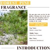 EUQEE Forest Pine Fragrance Oils for Candle Making,Aromatherapy Oils for Skin,Diffusers,Home Care,Essential Oil Scent for Humidifier Laundry,and More (60mL)