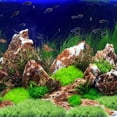 thumbnail image 4 of HAMPPLIES Green Plastic Aquatic Grass for Micro Landscape Adornment Perfect for Fish Tank and Sand Table Decoration 2Pcs, 4 of 6