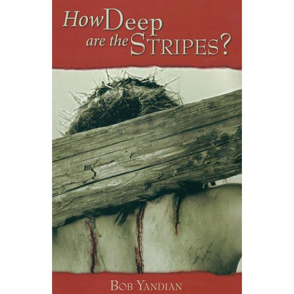 How Deep Are the Stripes? (Paperback)