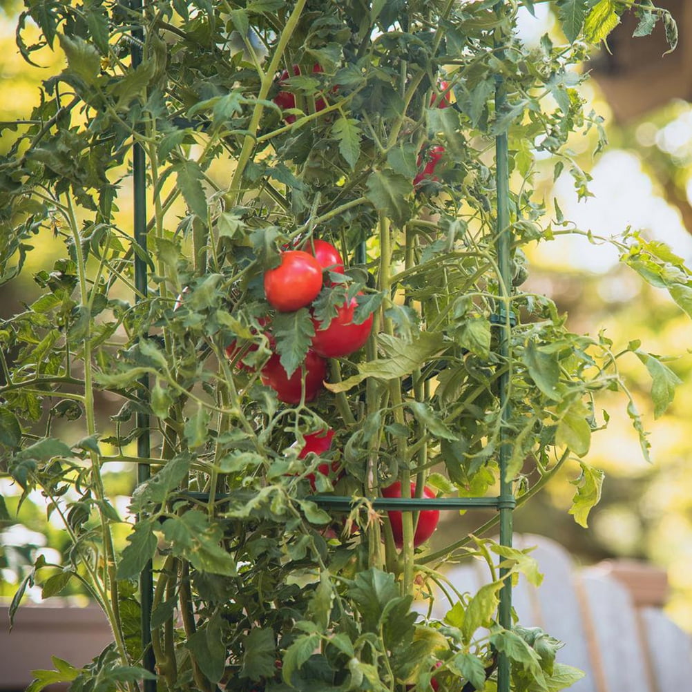 IFANLANDOR Deformable Plant Supports Tomato Stakes 1Set 9.98X0.39X0.39Inch Outdoor Farmers