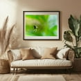 thumbnail image 3 of Garden Spider 01 - Scranton Pennsylvania Photography Black Framed Wall Art Print 16 x 24 inches, 3 of 4