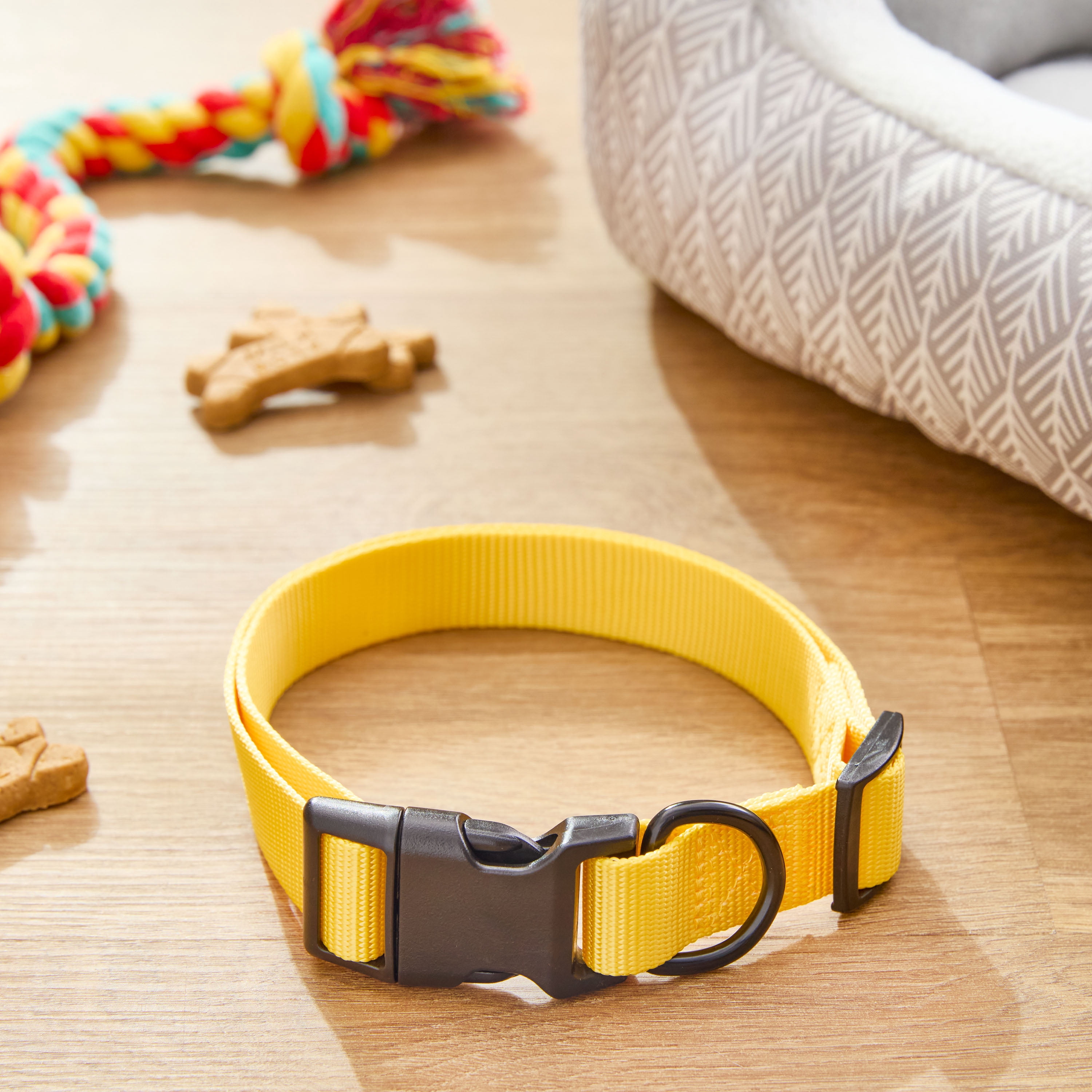 Vibrant Life Polyester Adjustable Dog Collar, Yellow, L