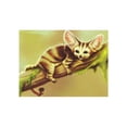 thumbnail image 1 of VONKY Cat Tiger Moneky Diamond Needlework DIY 5D Animal Rhinestone Painting Crystal Embroidery Home Office Cross Stitch, 1 of 8