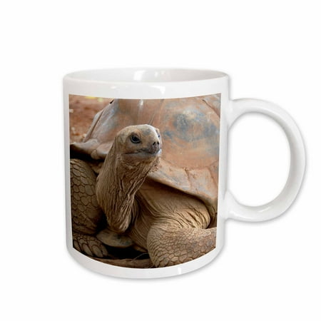 

3dRose Mauritius Seychelle Aldabran land tortoise - AF28 CMI0008 - Cindy Miller Hopkins Ceramic Mug 11-ounce