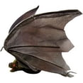 thumbnail image 2 of Sunstar Vampire Bat Halloween Decoration - 18 in, 2 of 3