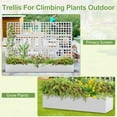 thumbnail image 6 of Metal Raised Garden Bed, Trellis Planters Bed with Drainage Holes for Climbing , Vegetables Outdoor Privacy Screen with Planter Box 71"x47"x16", White, 6 of 8