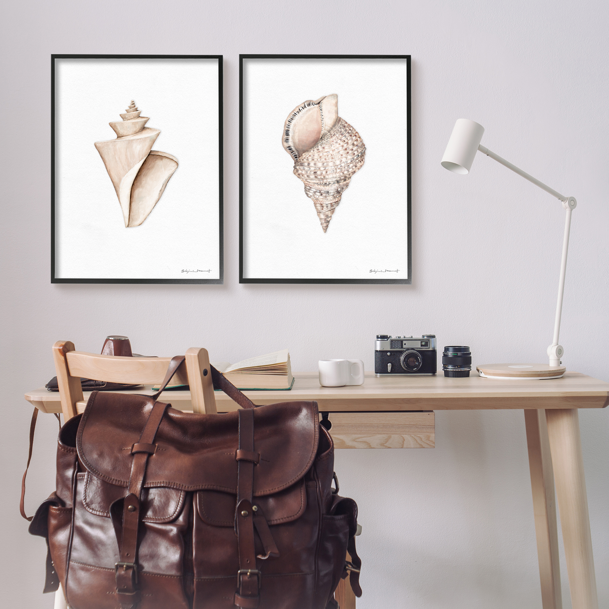 Stupell Industries Tranquil Spiral Sea Shells Soft Marine Life Illustration, 24 x 30, Design by Stephanie Workman Marrott