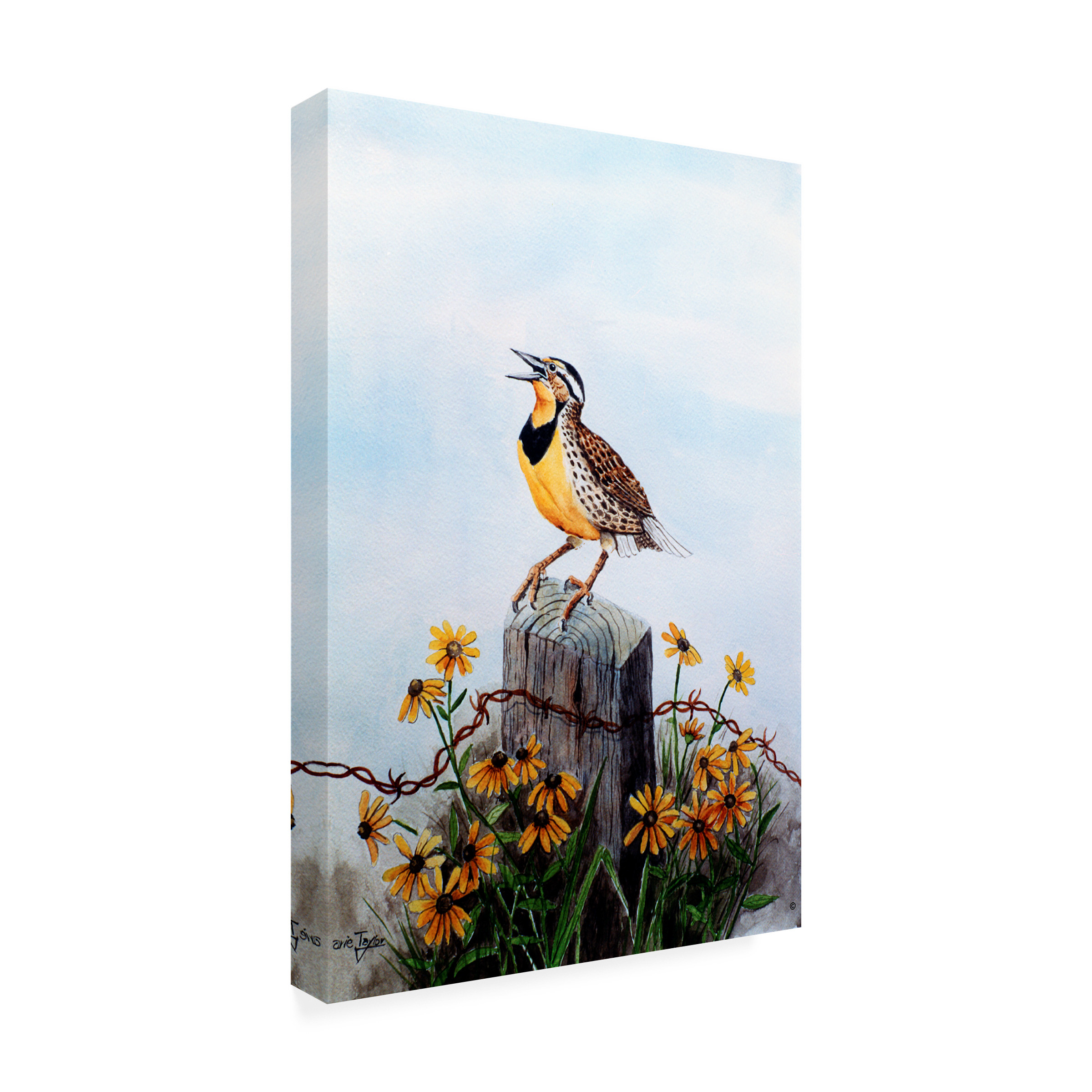 Trademark Fine Art 'Meadowlark 3' Canvas Art by Arie Reinhardt Taylor