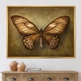 thumbnail image 2 of Designart 'Ancient Butterfly In Earth Tones' Vintage Framed Canvas Wall Art Print, 2 of 5