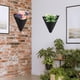 thumbnail image 2 of Contenedor De Flores De Jardinería Bolsa De Cultivo De Plantas Con Ganchos De Hebilla Juego De Bolsas Colgantes De Plantas Para Decoración De Interior Y Exterior De La Habitación Del Hogar 44626 Uds Monstrate HA041835-02, 2 of 6