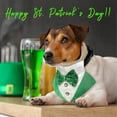 thumbnail image 4 of Kuoser St.Patrick's Day Dog Tuxedo Puppy Costume Adjustable Dog Bandana, White, S, 4 of 7