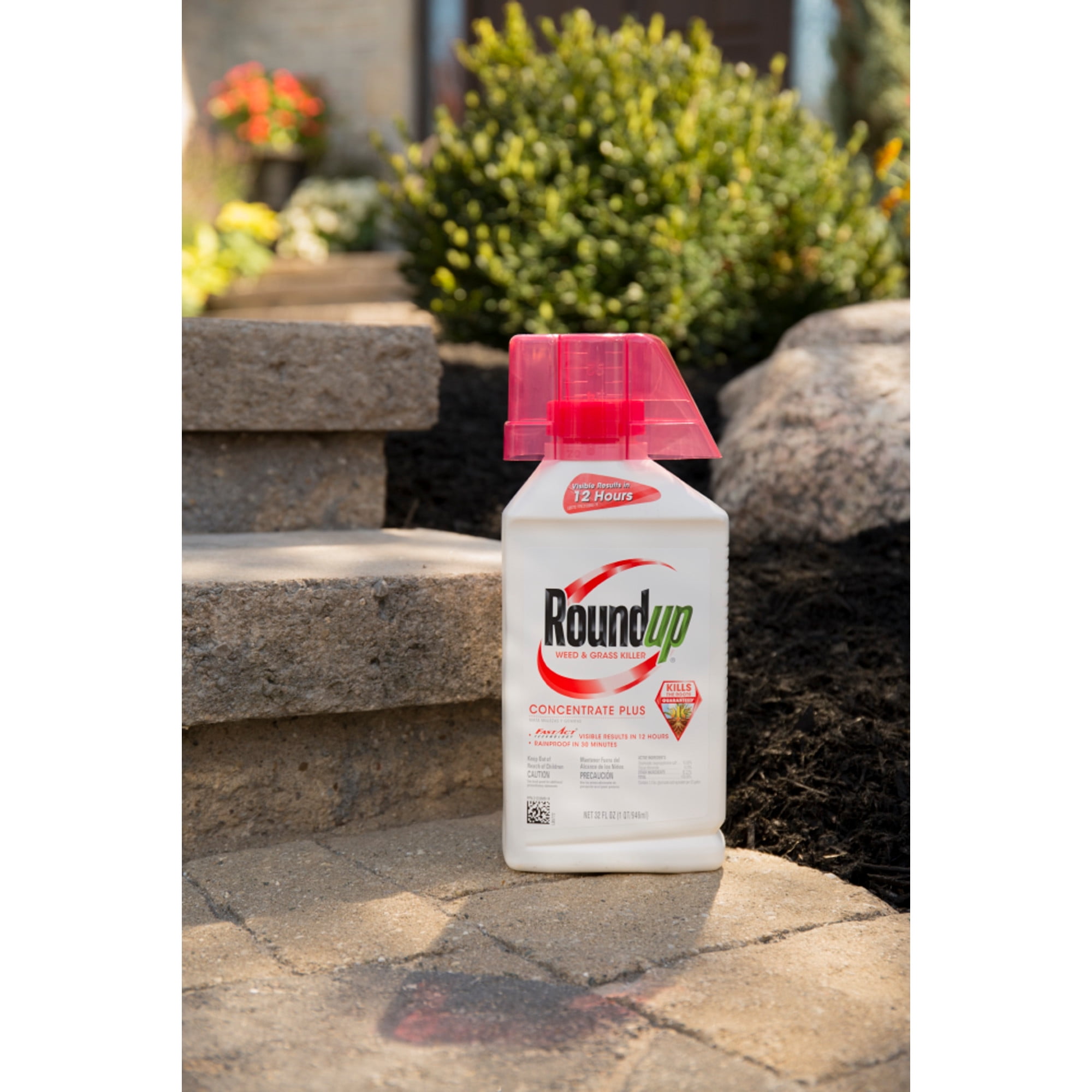 Roundup Weed Grass Killer Concentrate Plus Roundup Weed Grass Killer Concentrate Plus