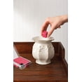 thumbnail image 2 of ScentSationals Scented Wax Cubes - Island Time, 2 of 3