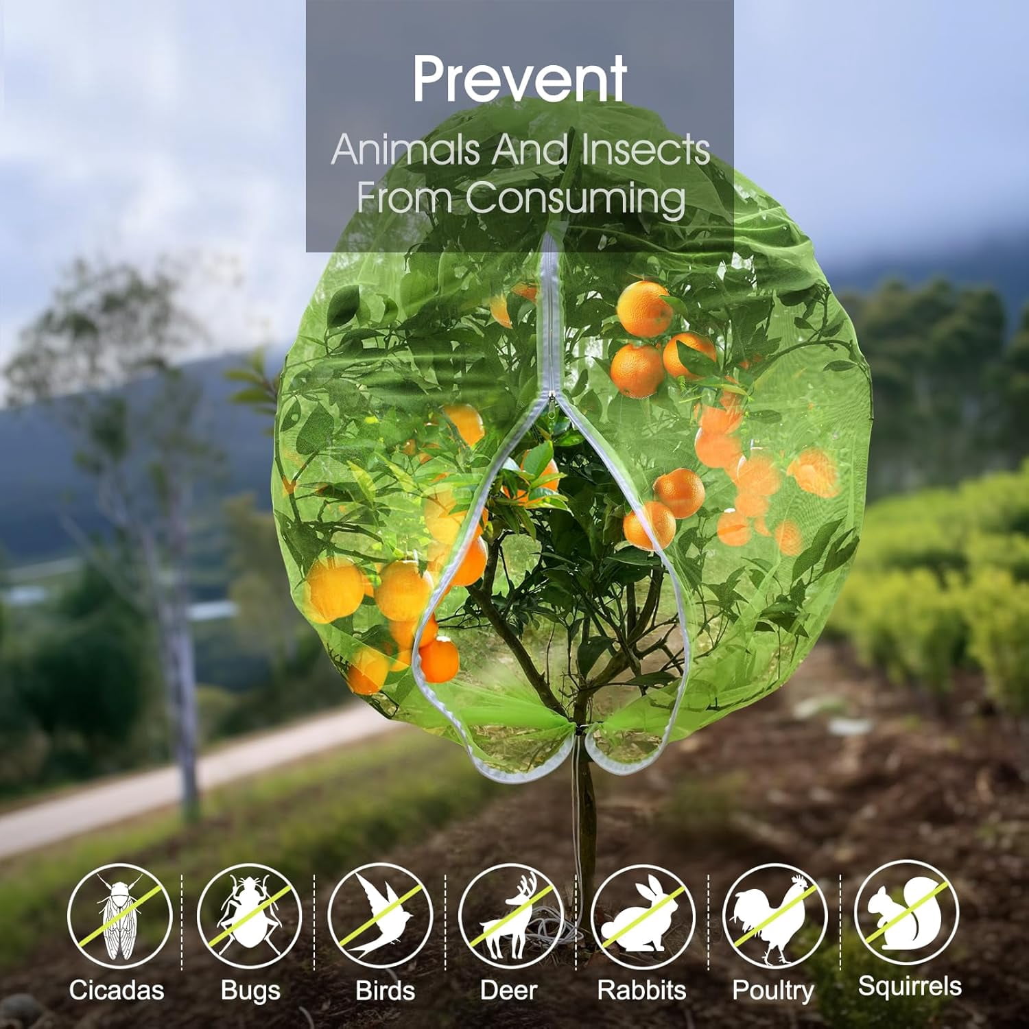 Fruit Tree Netting,  5.84 X 3.9 FT and 3.9 X 3.3 FT Blueberry Bush Netting Cover with Zipper Drawstring, Mosquito Net Garden Netting Protector Plant from Birds Cicadas Insect (4 PCS, Green)