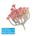 thumbnail image 4 of Plantas suculentas artificiales mini Uxcell sin maceta, suculentas falsas, suculentas texturizadas realistas, rojas, paquete de 2, 4 of 5
