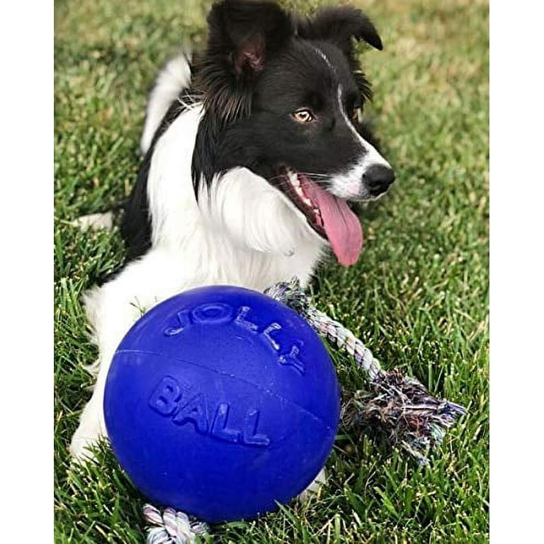 Jolly Pets Romp n Roll 8 inch Blue Rubber Ball with Rope for Dogs