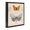 thumbnail image 3 of Stupell Industries Eclectic Vintage Butterfly Specimen Black Floating Frame Canvas Art, 18 x 18, by Susan Arnot, 3 of 8