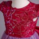 thumbnail image 5 of Vestido Para Niñas, Ropa Para Niñas, Vestido Para Niños, Vestido De Princesa Sin Mangas, Vestido De Malla Con Lentejuelas De Mariposa, Vestido Con Mechones, Color Borgoña Odeerbi LM103-5833, 5 of 9