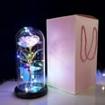 thumbnail image 2 of HuiXinOu Womens Gifts Under $10 Glowing Gold Foil Rose LED Night Light Glass Shade Ornament for Your Girlfriend On Valentine's Day Seasonal Holiday Saving Gifts, 2 of 5