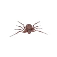 thumbnail image 2 of Grotesque Spider Decoration, 2 of 3