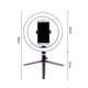 thumbnail image 4 of Lámpara Selfie 200MM Anillo de luz LED Luz de relleno Fotografía LED Selfie Luz Lámpara de teléfono con cámara regulable con trípodes de mesa Alimentado por USB para transmisión en vivo / maquillaje Eccomum  Lámpara Selfie, 4 of 7