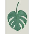 thumbnail image 2 of 1x Studio II 24x32 Gold Ornate Wood Framed with Double Matting Museum Art Print Titled - Monstera Aqua 05, 2 of 4