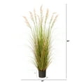 thumbnail image 2 of Nearly Natural 5.5ft. Plume Grass Artificial Plant, 2 of 3