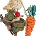 Guinea Pig Chew Toys Rabbit Parrots Snack Hamster Biting Playthings