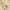 Tan, variant on Junovo Super Soft Fluffy Area Rugs Modern Shag Rug for Bedroom Living Room,Cute Carpets for Kids Nursery Girls Home Dorm,5'x8',White