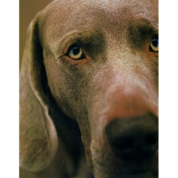 Pre-Owned William Wegman Polaroids (Paperback) 0810992426 9780810992429