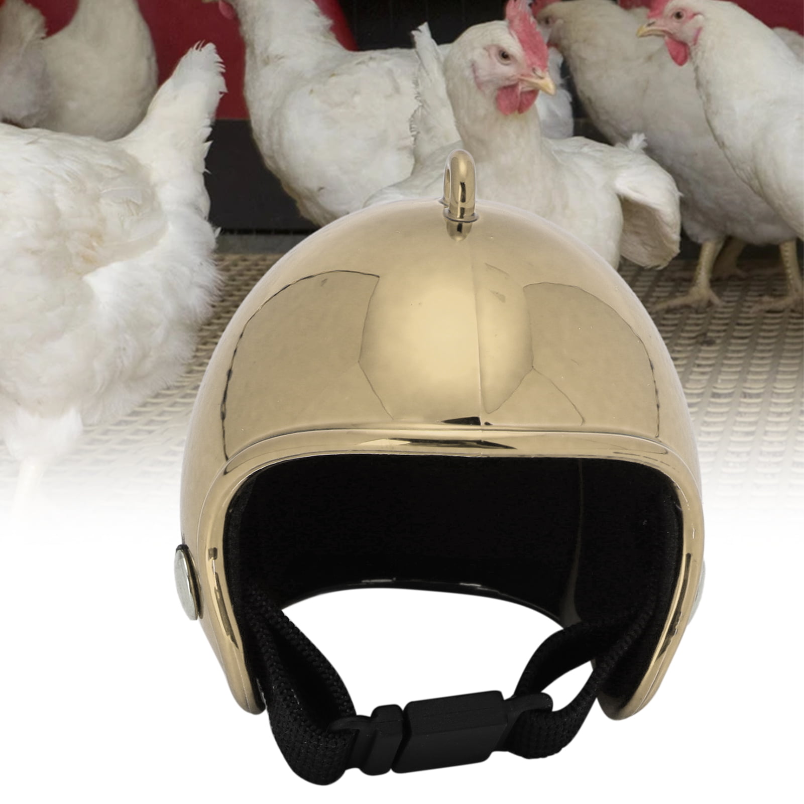 Ymiko Helmets, Chicken Helmet Chicken Hat For For Bird For Chicken For ...