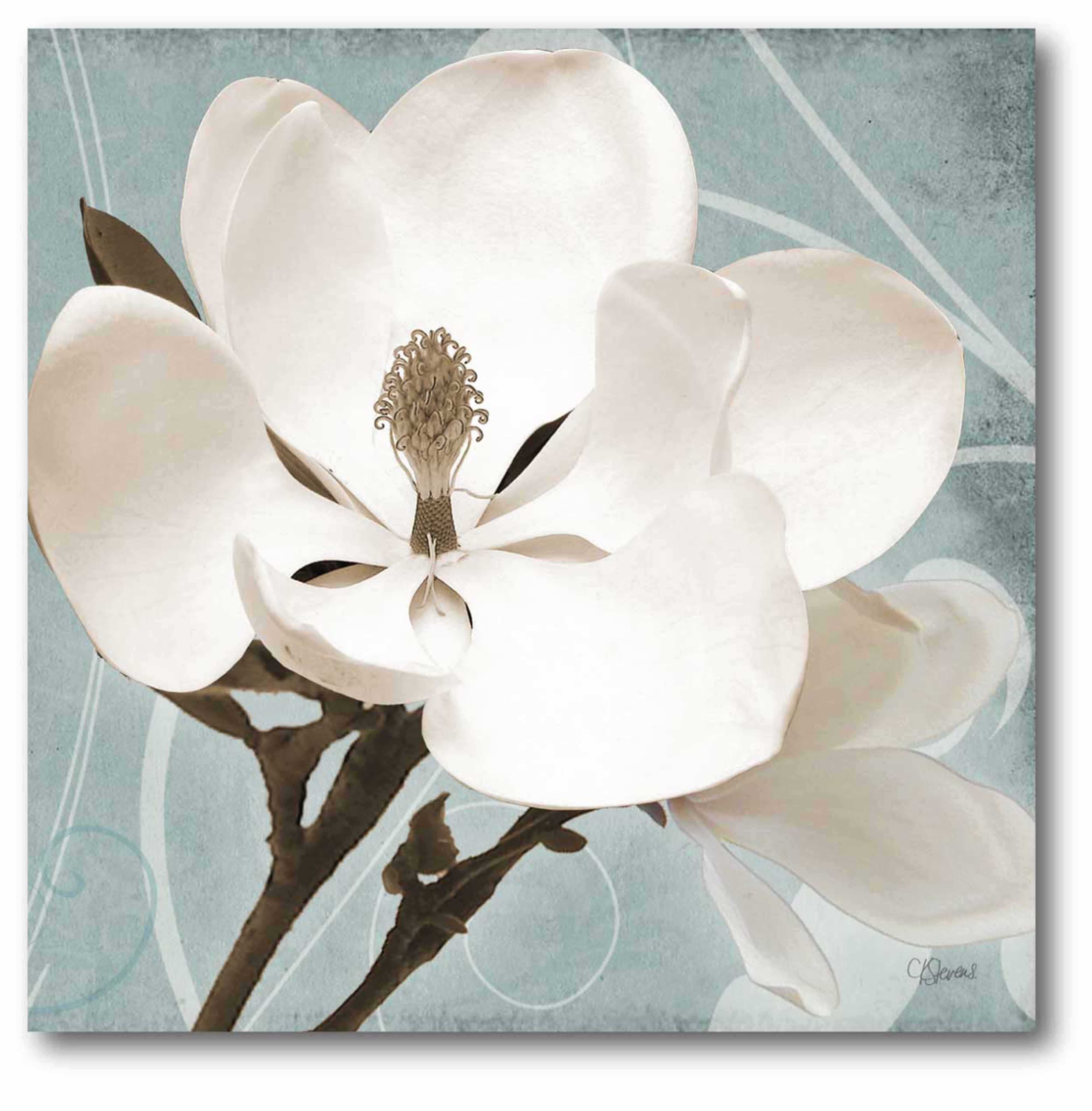 Courtside Market Magnolia Blue I GalleryWrapped Canvas Wall Art, 16x16