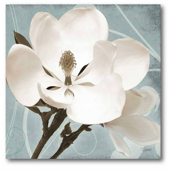 Courtside Market Magnolia Blue I Gallery-Wrapped Canvas Wall Art, 16x16
