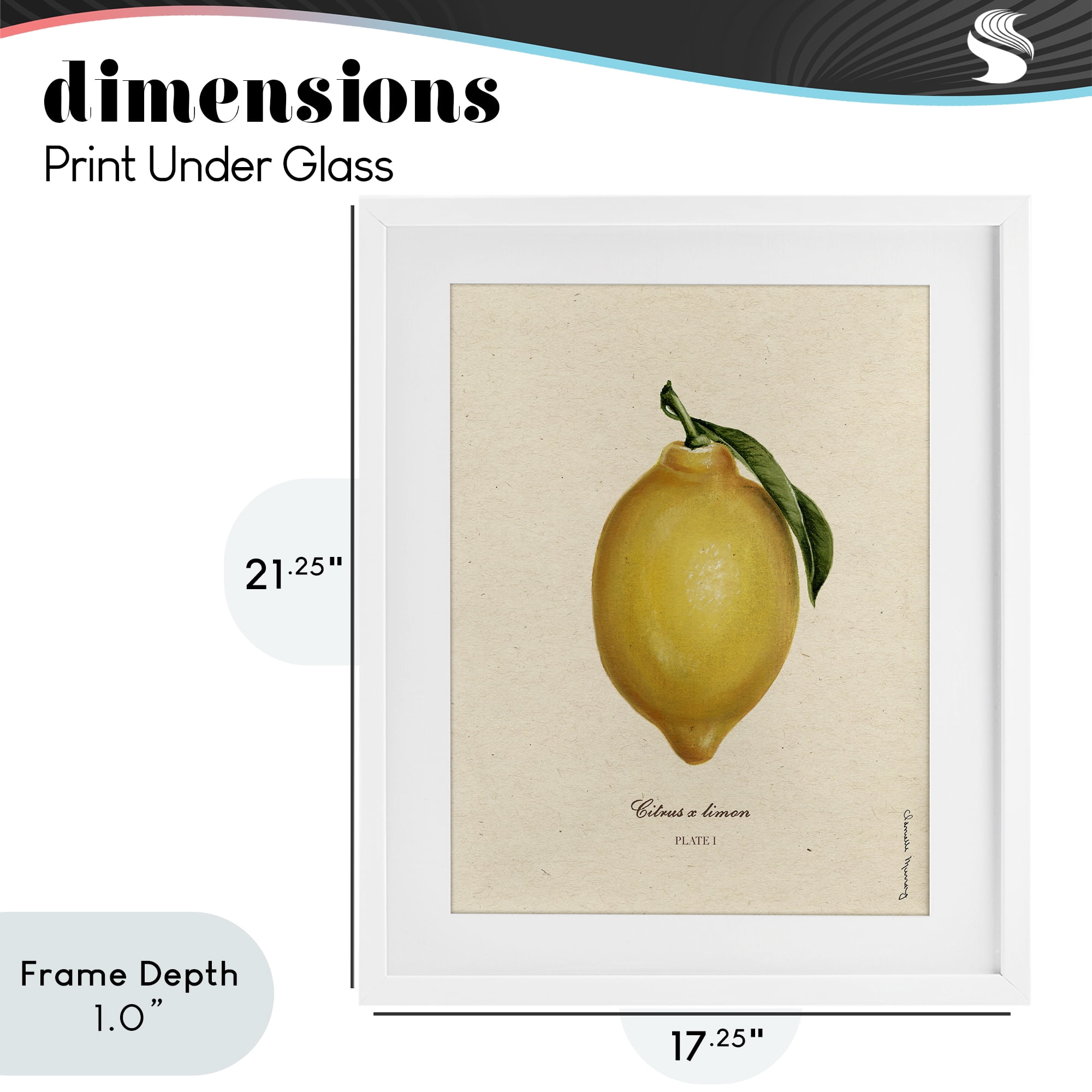 Stupell Industries Lemon Fruit Portrait White Framed Print Under Glass, design by Danielle Murray