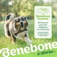thumbnail image 7 of Benebone Wishbone Durable Dog Chew Toy for Aggressive Chewers, Real Chicken, Medium, 7 of 7