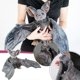 thumbnail image 1 of Halloween The Big Bat Plush Toy For Kids, Embrace-stuffed Animal Duck Kawaii Plushes Animal Plushies Pillow Soft Toy Zekai, 1 of 5