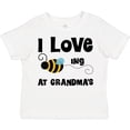 thumbnail image 3 of Inktastic Grandkids Visit Grandma Honey Bee Boys or Girls Toddler T-Shirt, 3 of 5