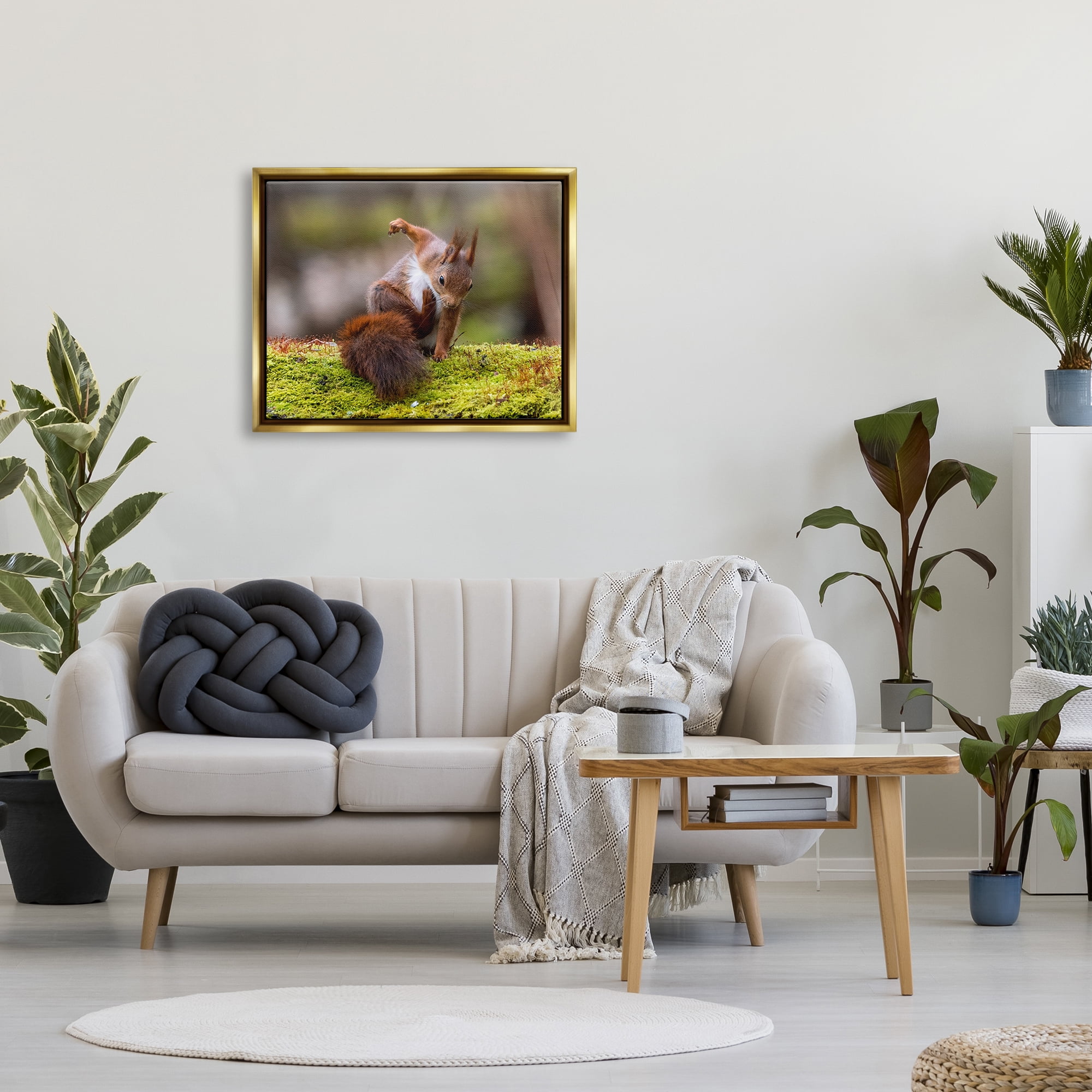Stupell Industries Squirrel on Mossy Log Animals & Insects Photography Gold Floater Framed Canvas Art Print Wall Art, 31 x 25