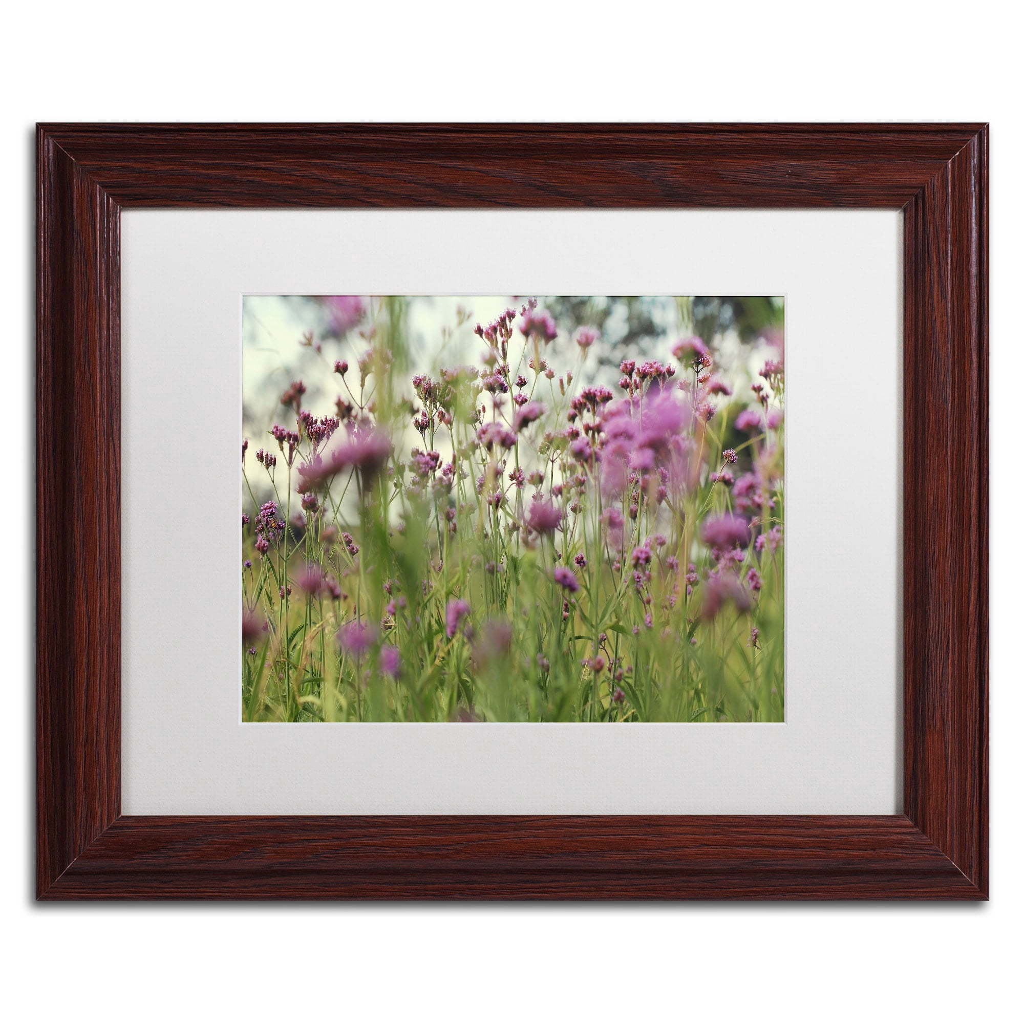 Trademark Fine Art "Field of Purple" Canvas Art by Beata Czyzowska Young, White Matte, Wood Frame