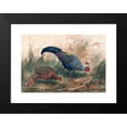 thumbnail image 2 of Joseph Wolf 14x11 Black Modern Framed Museum Art Print Titled - The Siamese Pheasant (1861-1867), 2 of 5