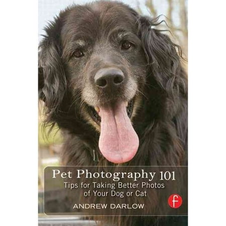 Pet Photography 101: Tips for Taking Better Photos of Your Cat or Dog