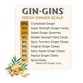 GIN GINS Peanut Ginger Chews Natural Fresh Ginger Candy by The Ginger People Individually