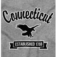 thumbnail image 2 of Connecticut Cute Bald Eagle Souvenir Plus Size Crewneck Graphic Tee Shirt Brisco Brands 5X, 2 of 3