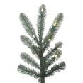 thumbnail image 2 of Vickerman 9' Alberta Blue Spruce Artificial Christmas Tree, Warm White Dura-lit LED Lights, 2 of 4